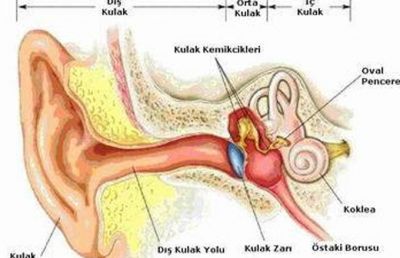 Qulaq cingiltisi nəyin xəbərçisidir? 
