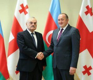Artur Rasizadə Gürcüstan prezidenti ilə görüşdü