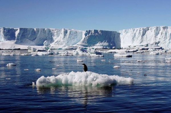 Dünya üçün TƏHLÜKƏ: Antarktida yarıldı - VİDEO
