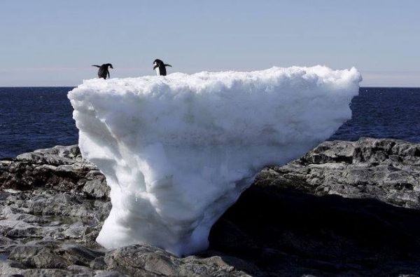 Dünya üçün TƏHLÜKƏ: Antarktida yarıldı - VİDEO