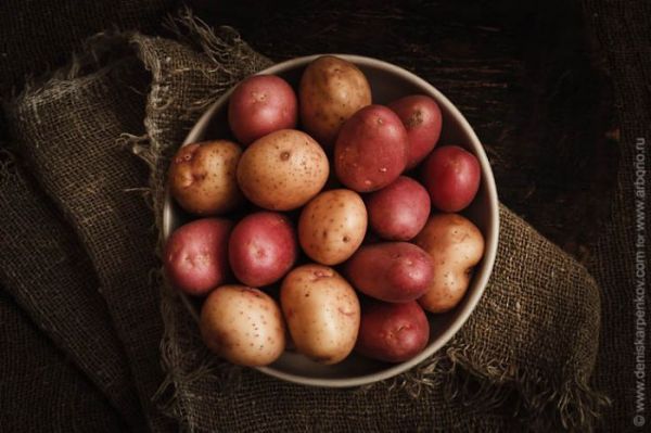Qırmızı kartof - Ən faydalı kartof