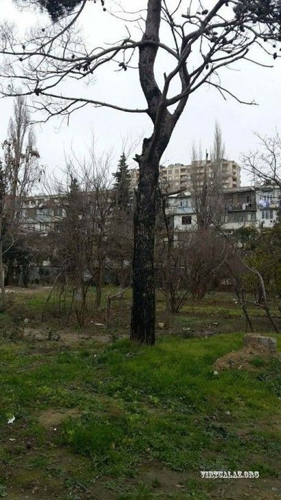 Nəsimi rayonunda həyət uğrunda qarşıdurma: tikinti şirkəti yenə hücum çəkdi - VİDEO+FOTO