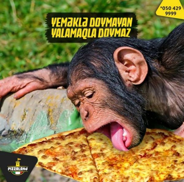 "Pizzaland"dən müştərilərə əxlaqsız təklif - FOTO+Ekspert rəyi