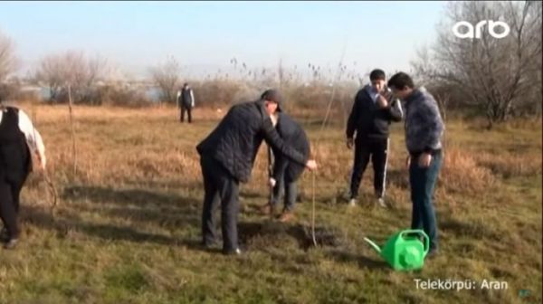 Mingəçevirdə ölkə turizminə səs salacaq layihə - VİDEO - FOTO