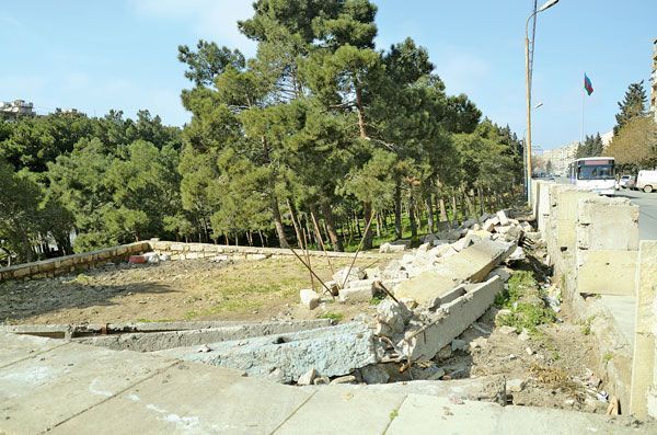 Bakının Nizami rayonunda ağacları qıranlar kimə güvənirlər? FOTOLAR+VİDEO