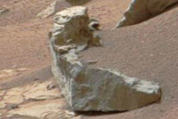 Marsda “pinqvin” tapıldı - FOTO