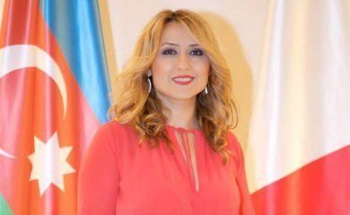 "Bu dəyişikliklər bizə də ciddi stimul verir" - Avropa azərbaycanlıları