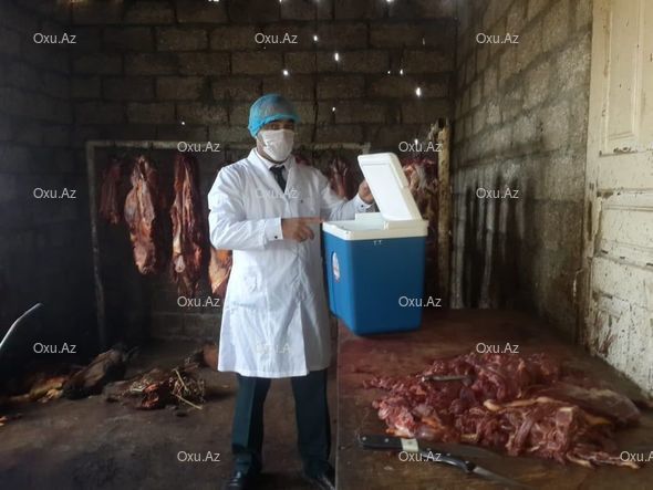 Xaçmazda istifadəyə yararsız at əti aşkarlandı - FOTO