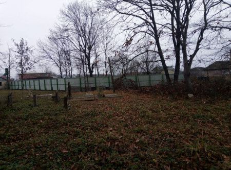 İcra başçısı Masallıda qədim qəbristanlığı dağıdıb, obyekt tikdirmək istəyir - ŞİKAYƏT + FOTOLAR