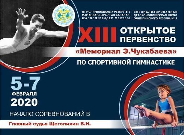Doqquz yaşlı azərbaycanlı gimnast Qazaxıstandan yeddi medalla qayıdır - FOTO/VİDEO